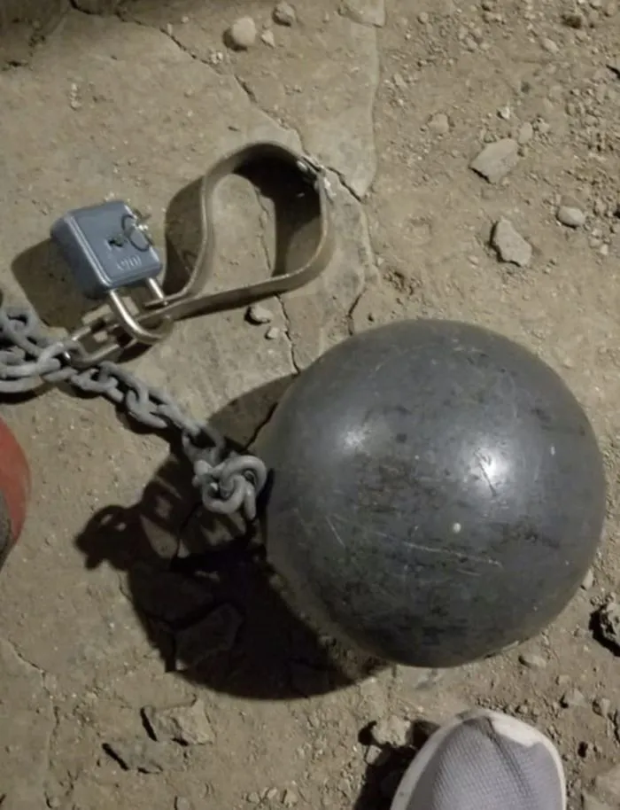 25 жутких снимков, которые вызывают противоречивые чувства