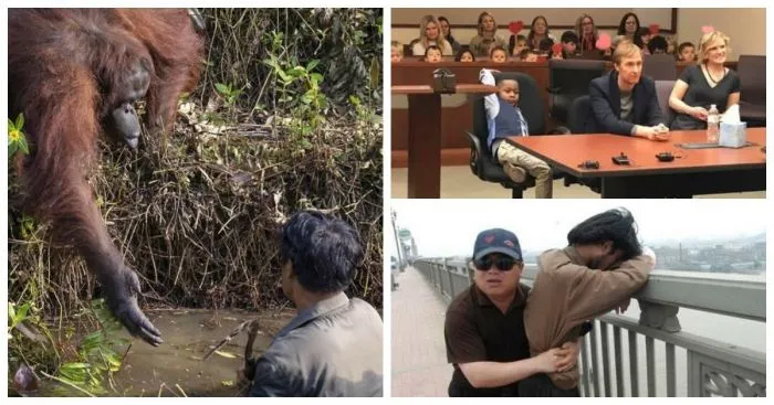 Это произошло на самом деле