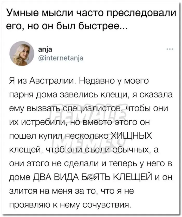 Скрины из соцсетей