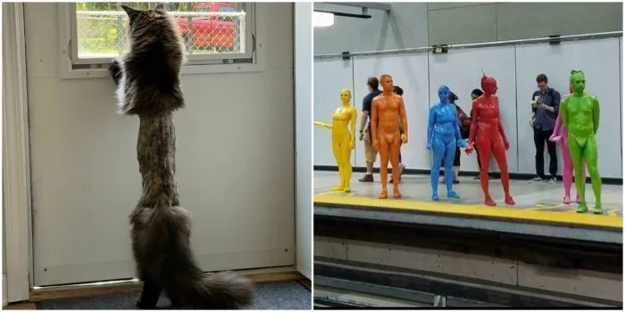 30 любопытных кадров, которыми поделились на просторах сети