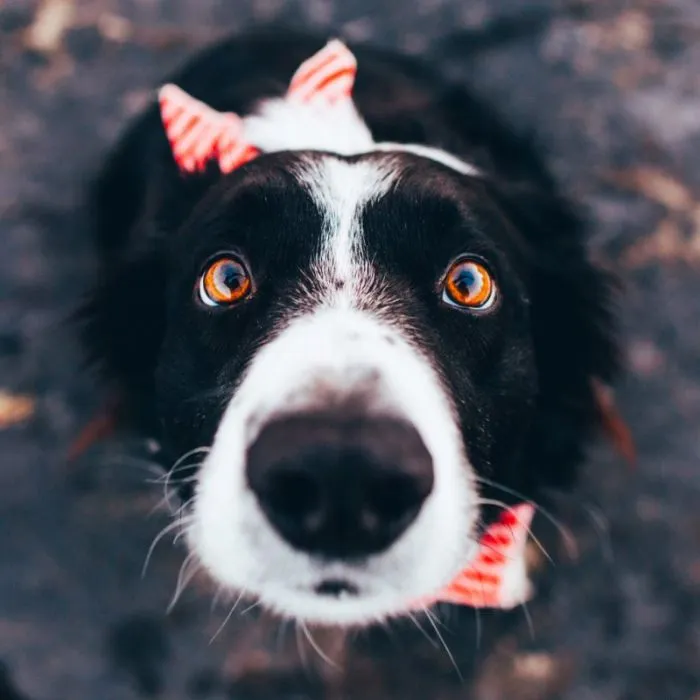 Всё вразнобой