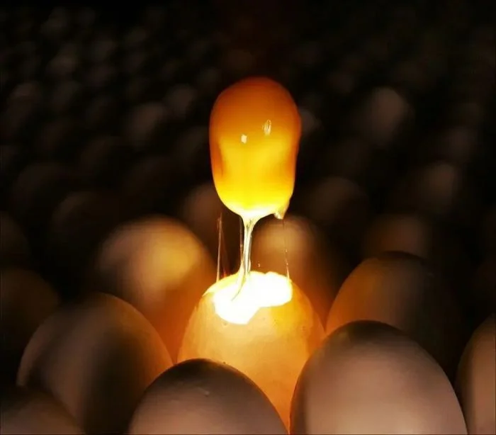 Всё вразнобой (05.01.24)