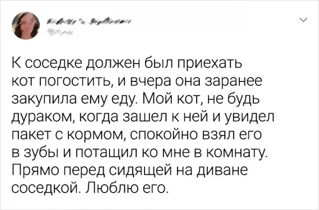 Подборка забавных твитов о животных