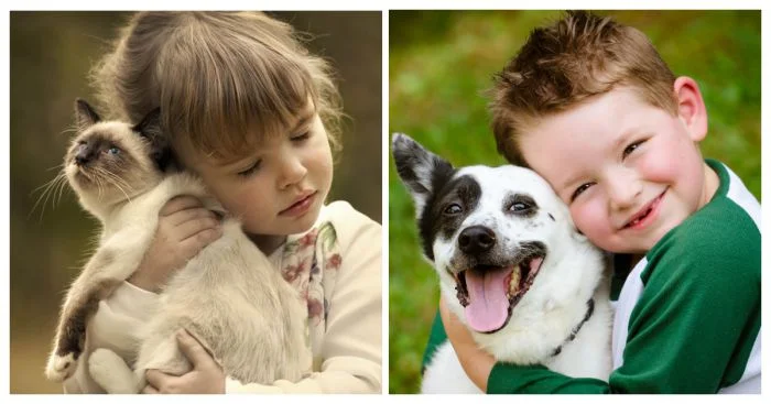 Дружба навсегда