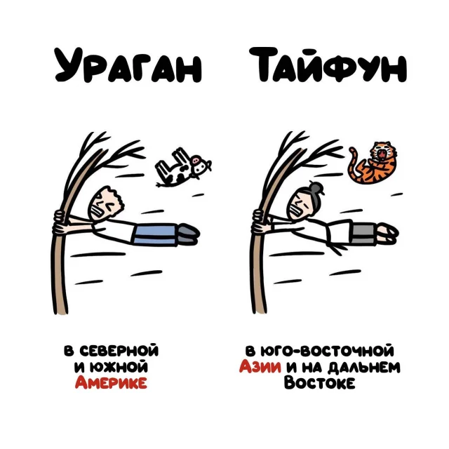 "Не перепутай": забавные подсказки о вещах и понятиях, которые люди часто путают