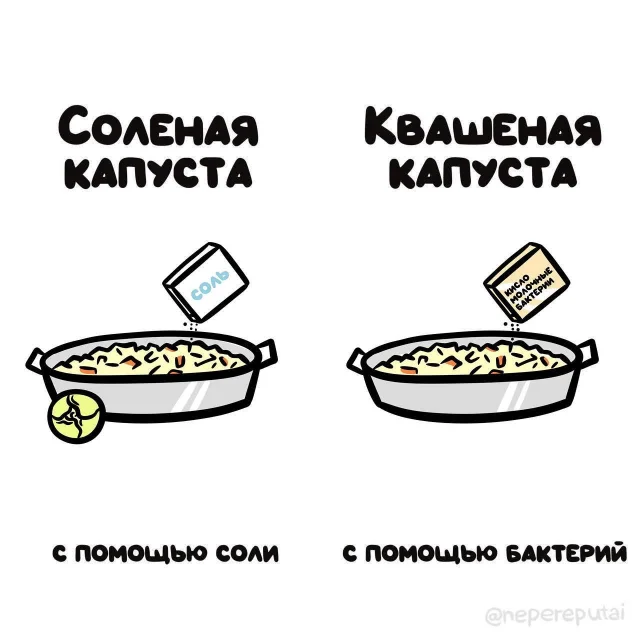 "Не перепутай": забавные подсказки о вещах и понятиях, которые люди часто путают