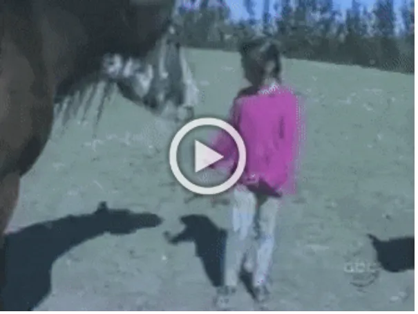 Просто гифки