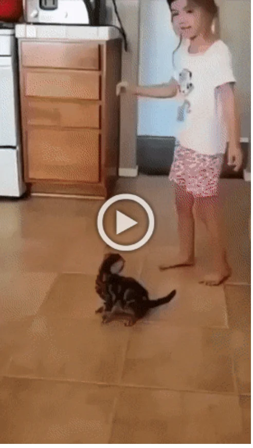 Просто гифки