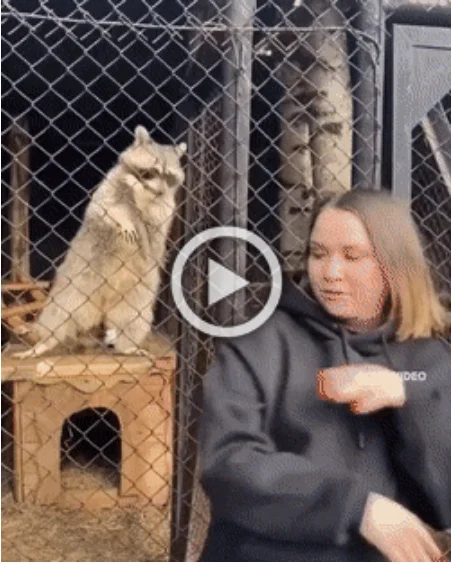 Просто гифки