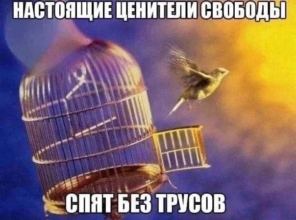Нестандартный юмор :)