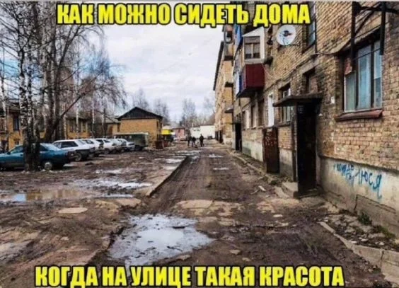 Нестандартный юмор :)