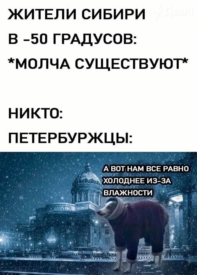 Нестандартный юмор :)