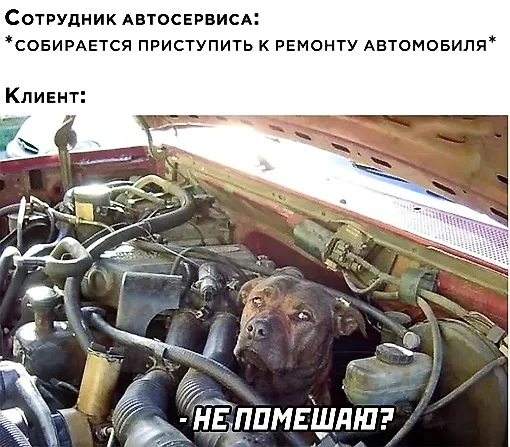 Нестандартный юмор :)