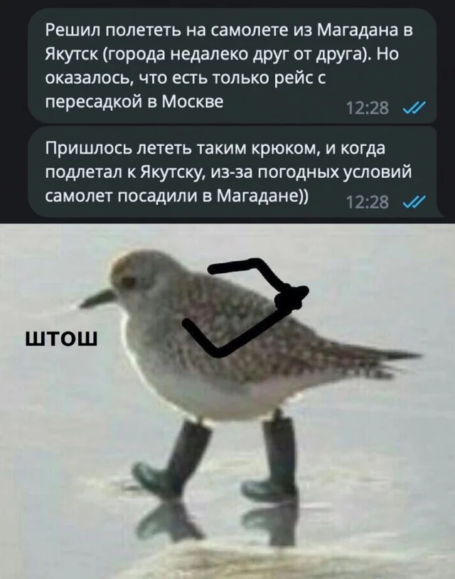 Так себе картинки