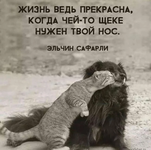 Так себе картинки