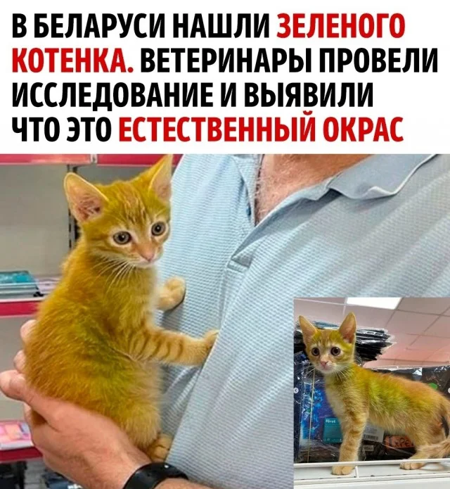 Так себе картинки