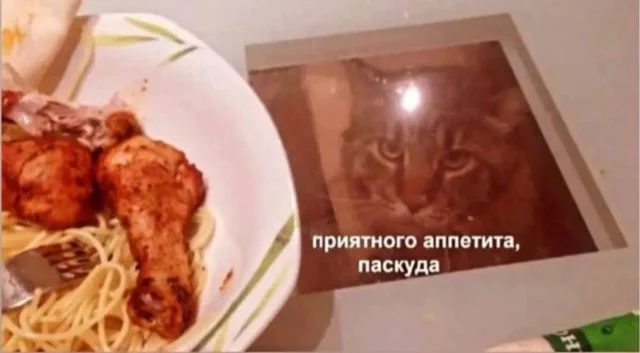 Деградация