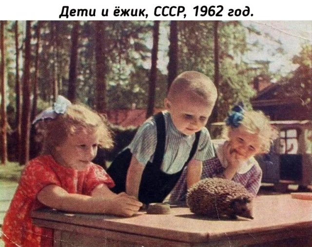 Небольшая подборка исторических фото