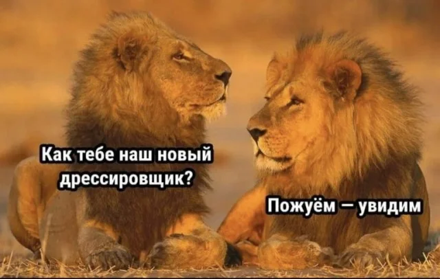 Так себе картинки