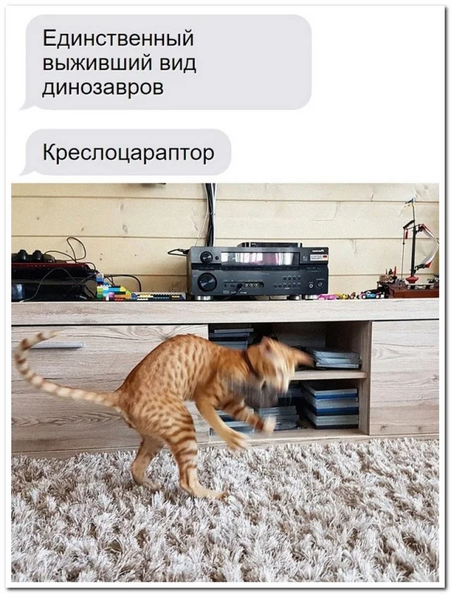 Юмористические комментарии из онлайн-сообществ