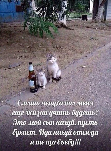Нестандартный юмор :)
