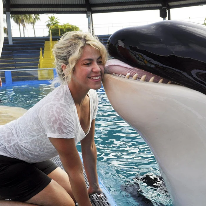 Тайные способы косаток выражать свой разум