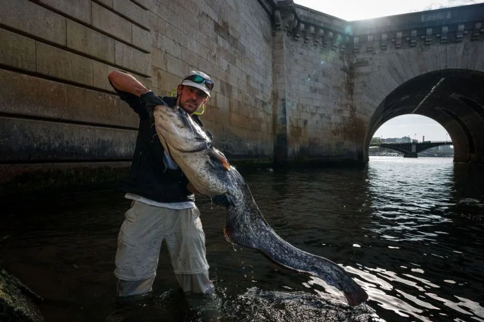 На общую тему (02.01.24)
