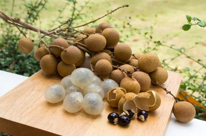 12 экзотических фруктов со всего света