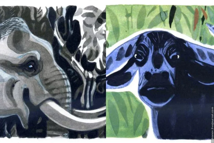 Как переводятся имена в Маугли