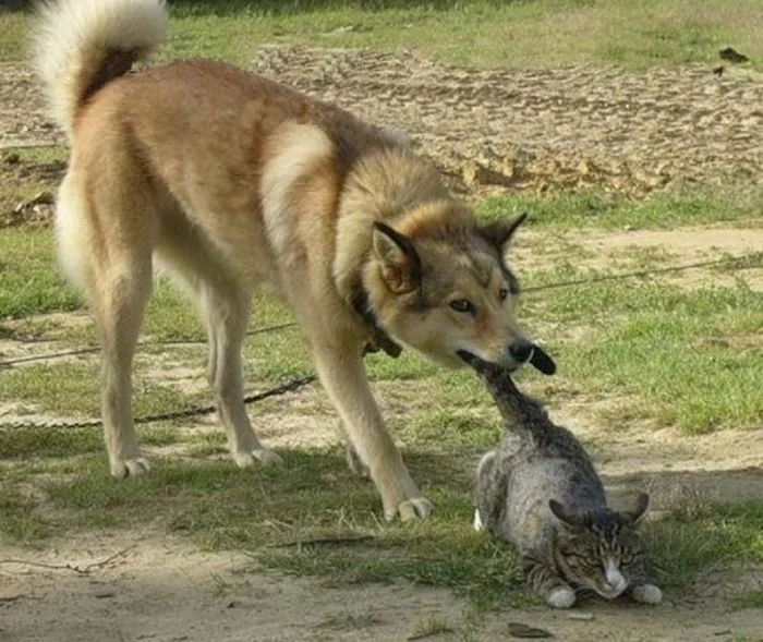 Симпатяги, для которых личное пространство – ничто
