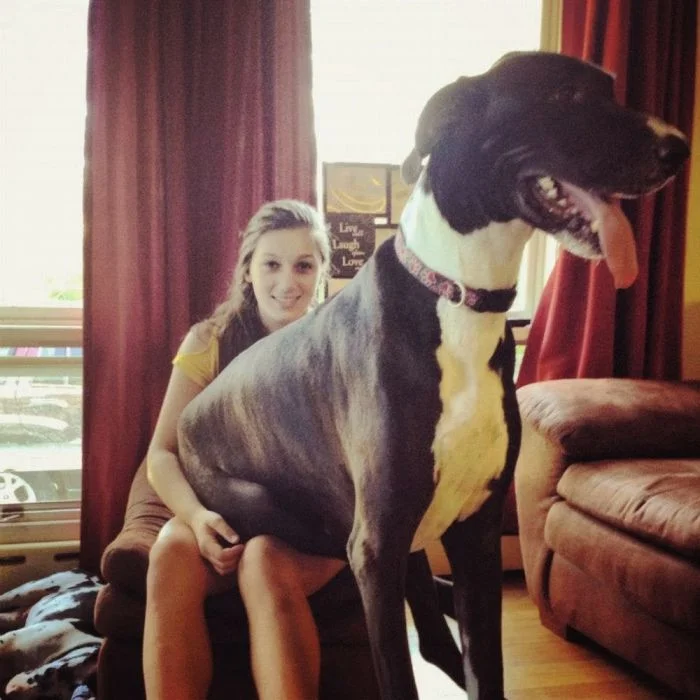 На общую тему