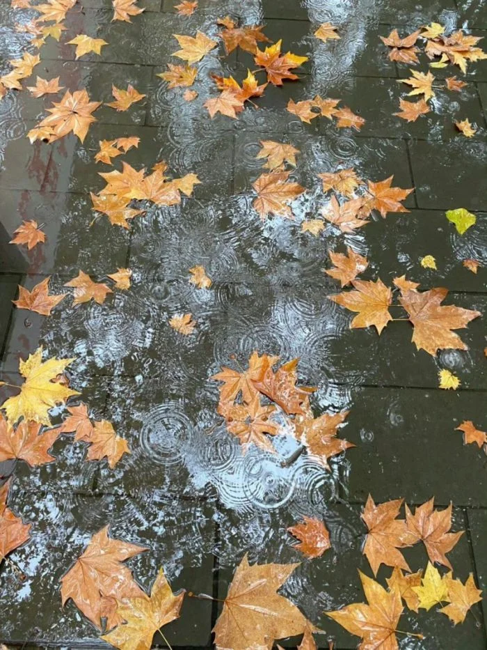 Всё вразнобой