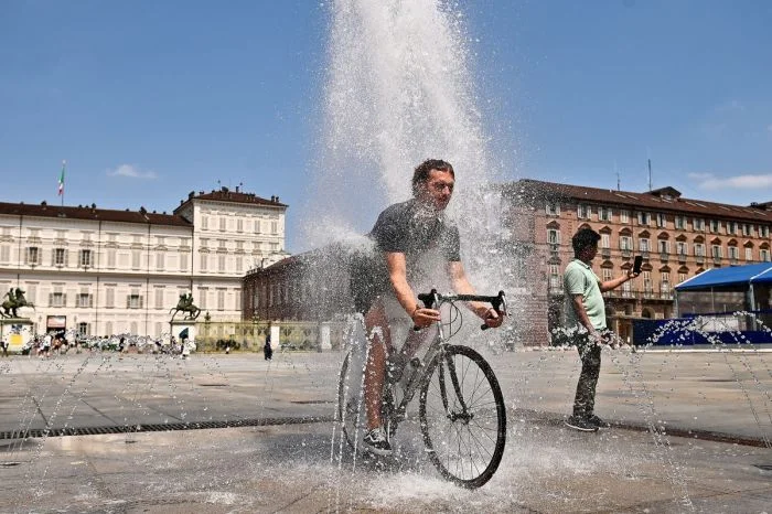 На общую тему