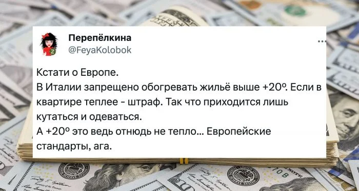 "Включил отопление", "Ехал в наушниках": пользователи рассказали, за что их штрафовали в разных странах