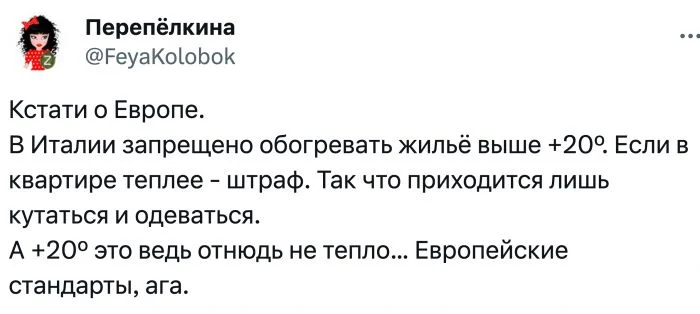 "Включил отопление", "Ехал в наушниках": пользователи рассказали, за что их штрафовали в разных странах