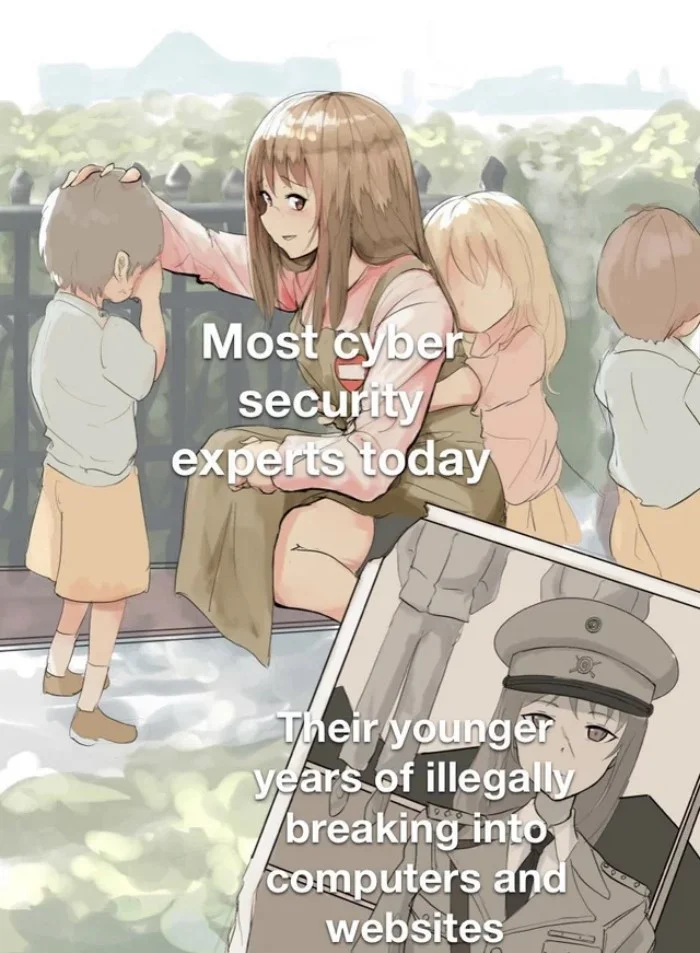 Анимешные мемы про программистов