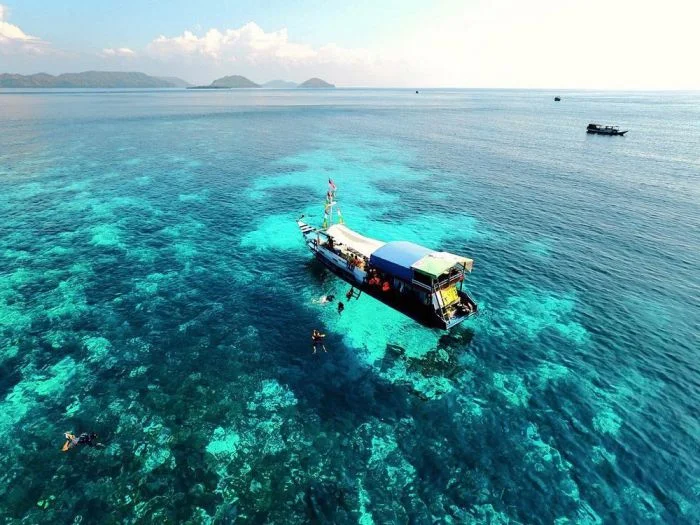 На общую тему