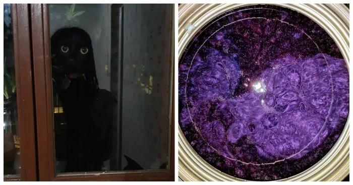 17 фотографий, которые могут привести в замешательство