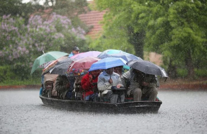 На общую тему