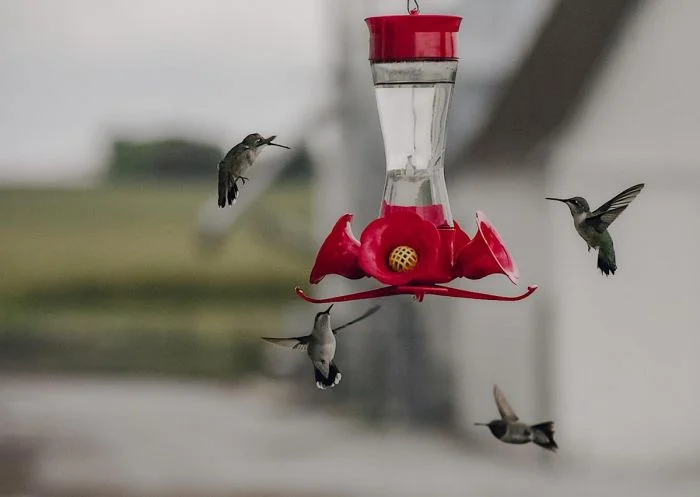 На общую тему