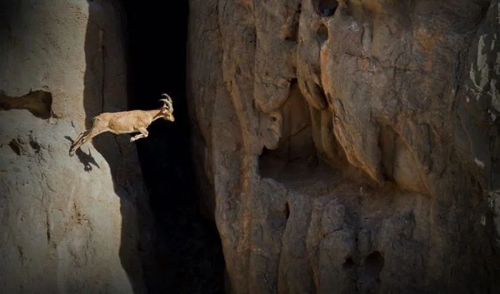 На общую тему