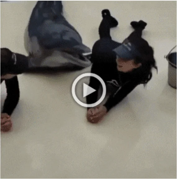 Просто гифки