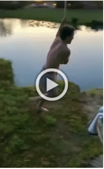 Просто гифки