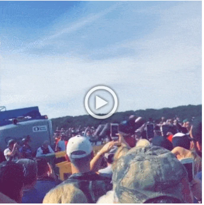 Просто гифки