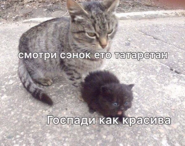 Нестандартный юмор :)