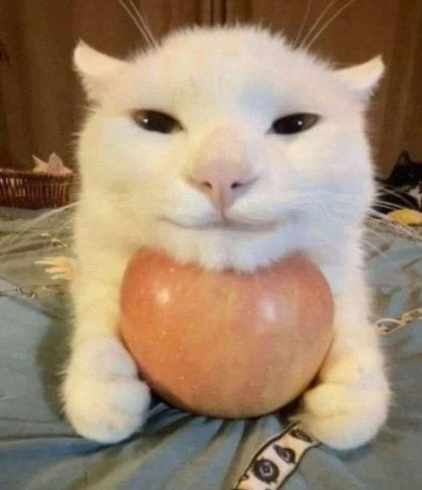 Нестандартный юмор :)