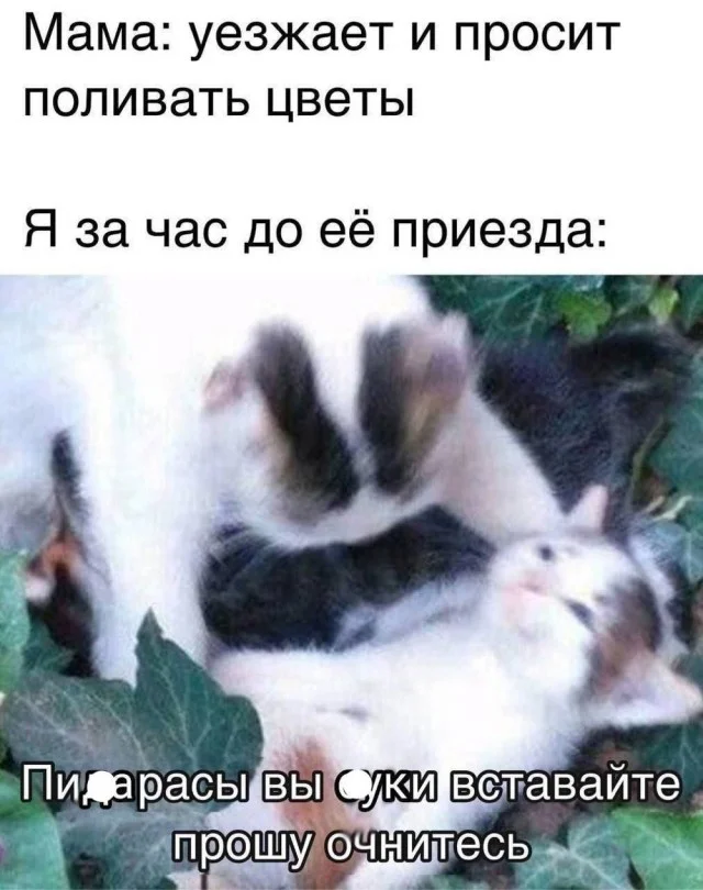 Деградация