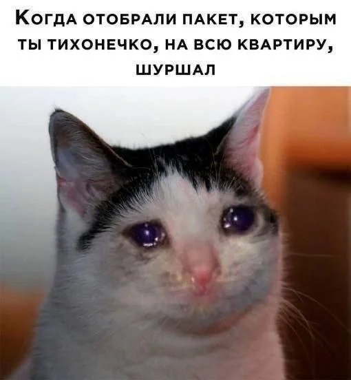 Деградация