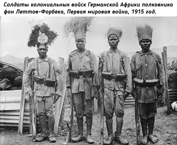 Сквозь призму прошлого: Коллекция исторических снимков