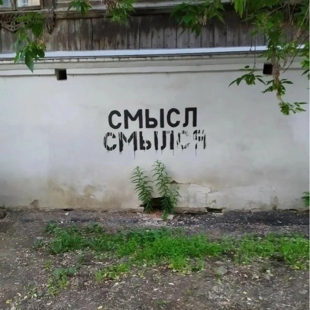 Картинки (14.12.23)